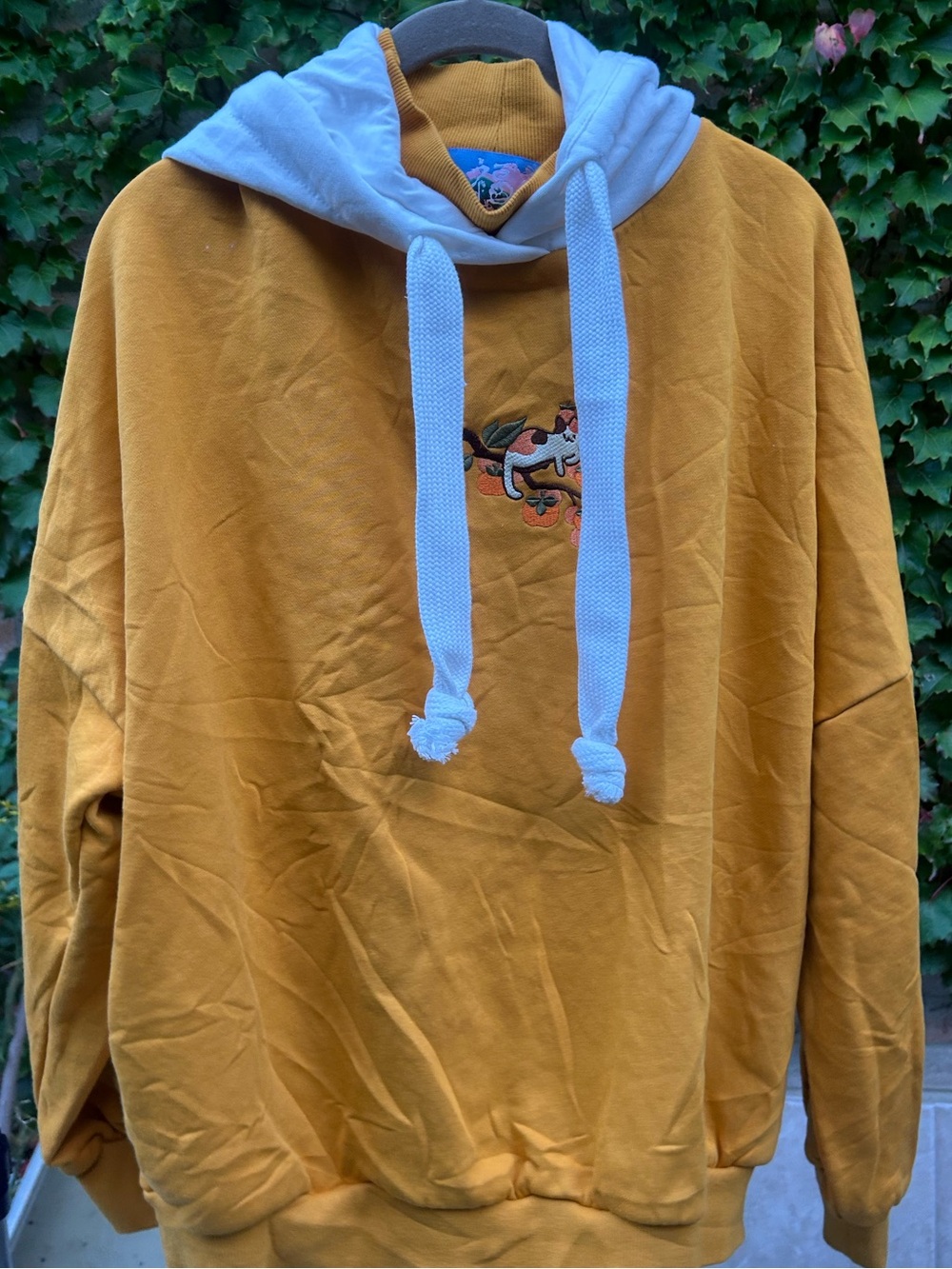 Bandage Brigade x Fuwaffy Persimmon Cat Hoodie